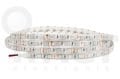 FİO LED ŞERİT LED